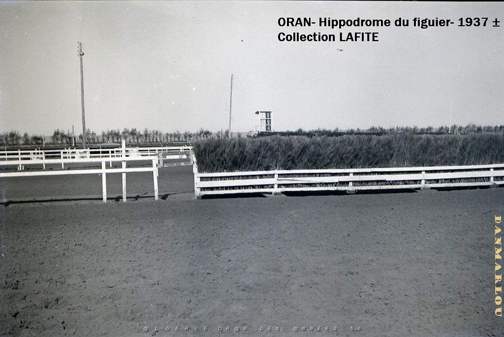 ORAN 1937 HYPPODROME DU FIGIER    (12).jpg